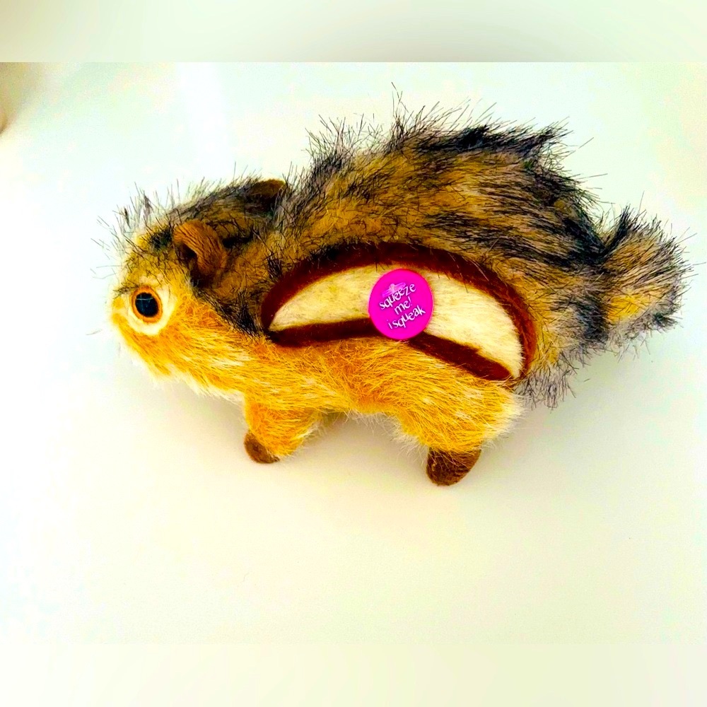 NWT Dog Squeaky Toy
